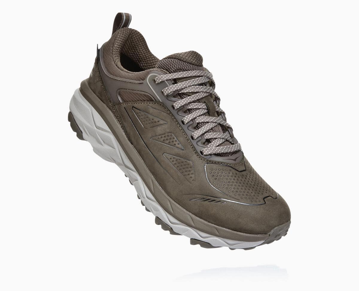 Dámské Trailové Boty Hoka One One Challenger Low GORE Hnědé | CZ.928OIBUYL